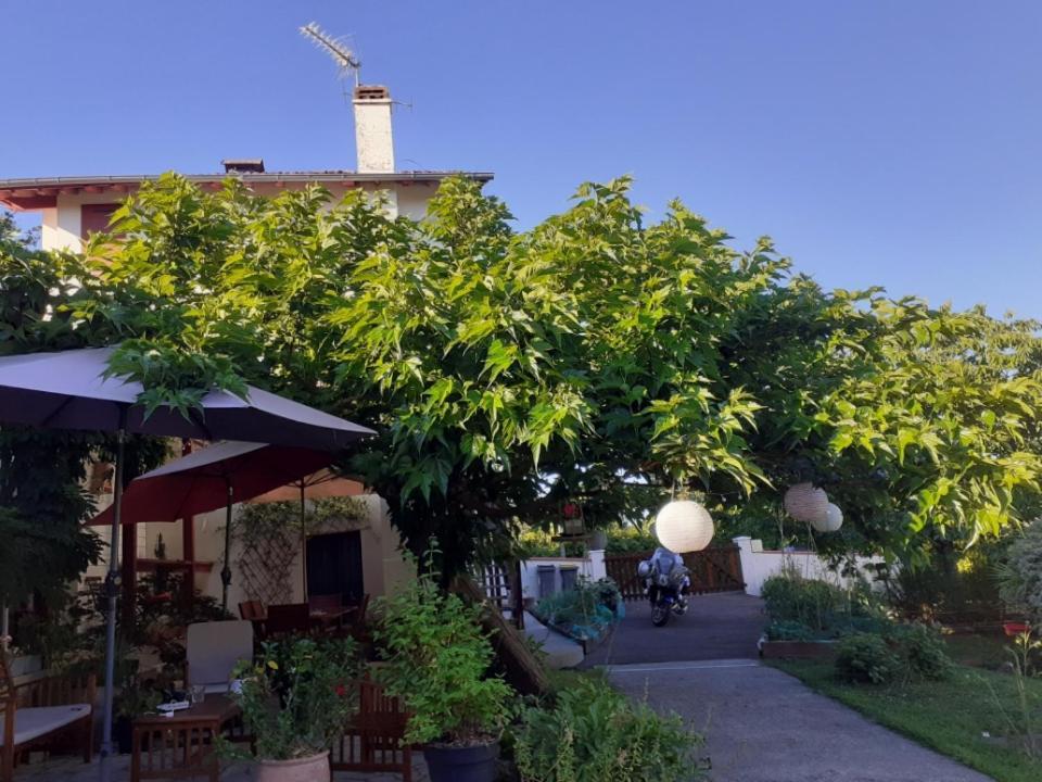 Au Bosquet, Chambre Et Salle De Bains Avec Petit Dejeuner A 600 M Du Centre Dans Un Cadre Calme Et Verdoyant Salies-de-Béarn Esterno foto