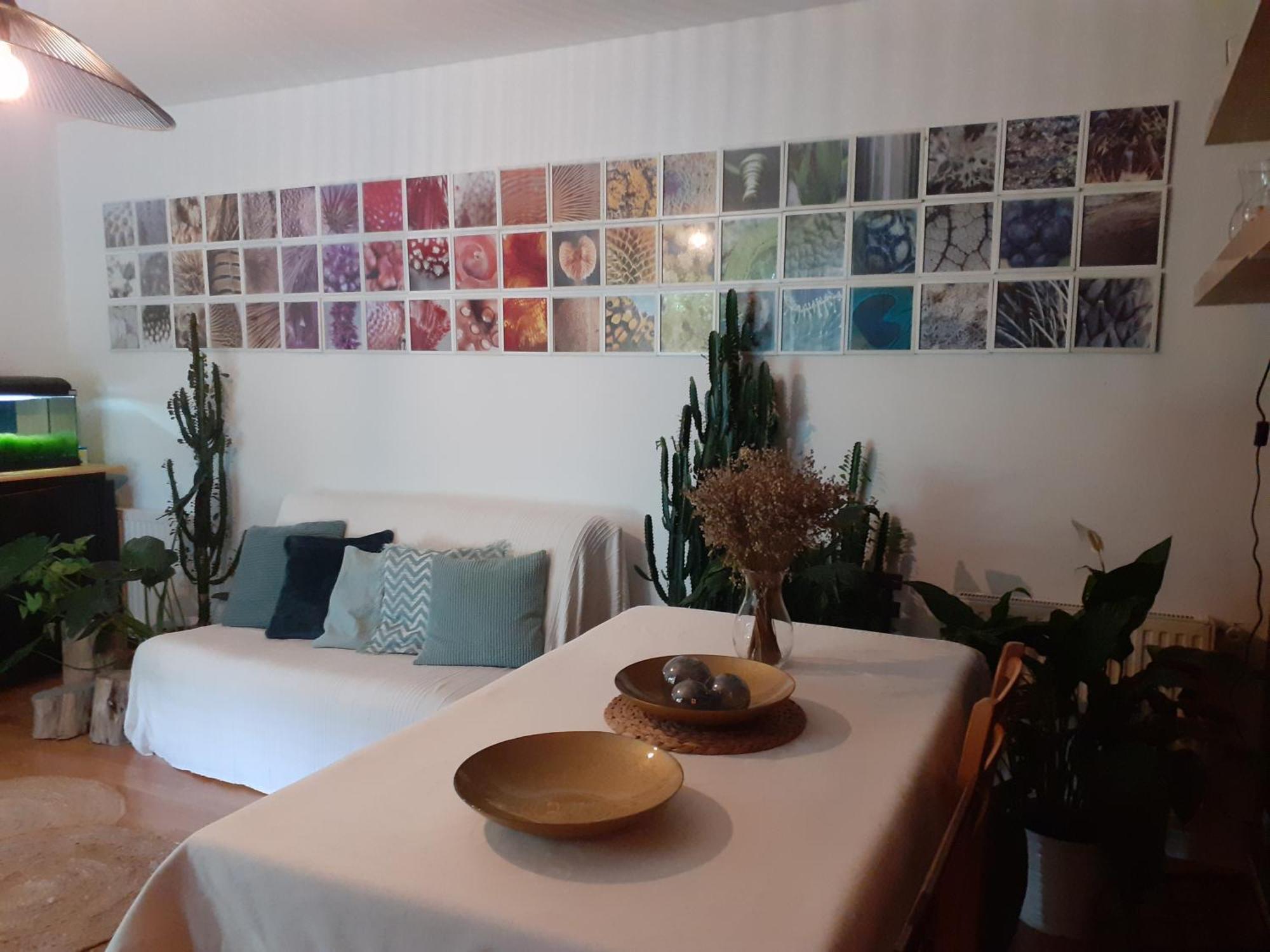 Au Bosquet, Chambre Et Salle De Bains Avec Petit Dejeuner A 600 M Du Centre Dans Un Cadre Calme Et Verdoyant Salies-de-Béarn Esterno foto